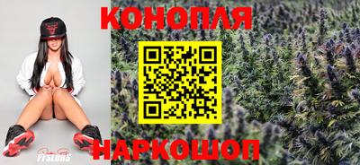 гашик Брянск