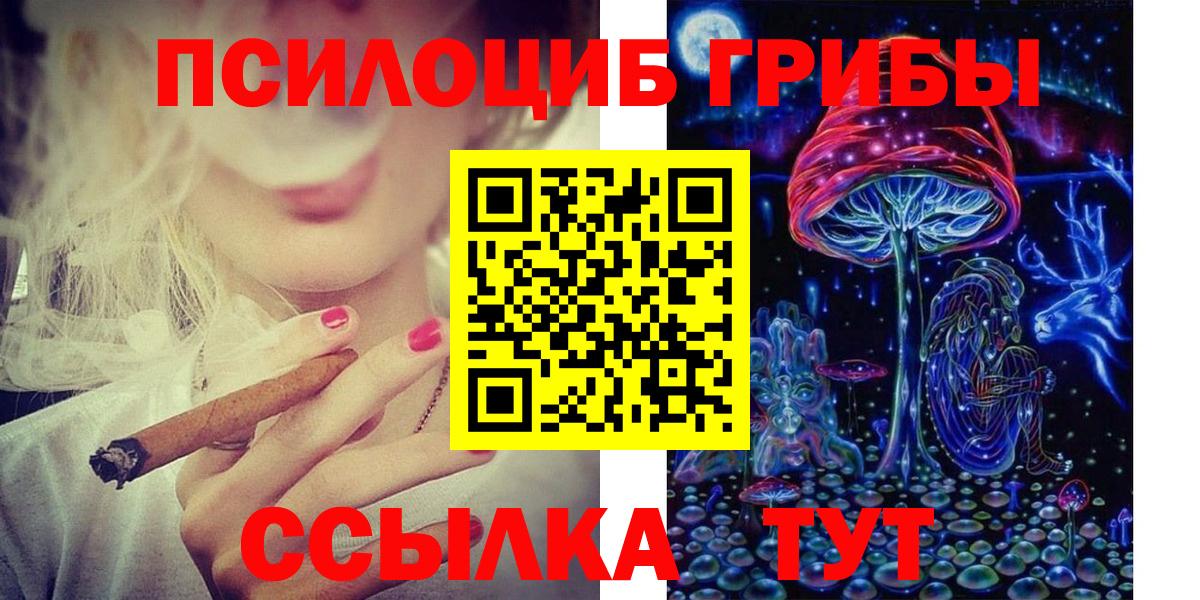 Псилоцибиновые грибы GOLDEN TEACHER Гусь-Хрустальный