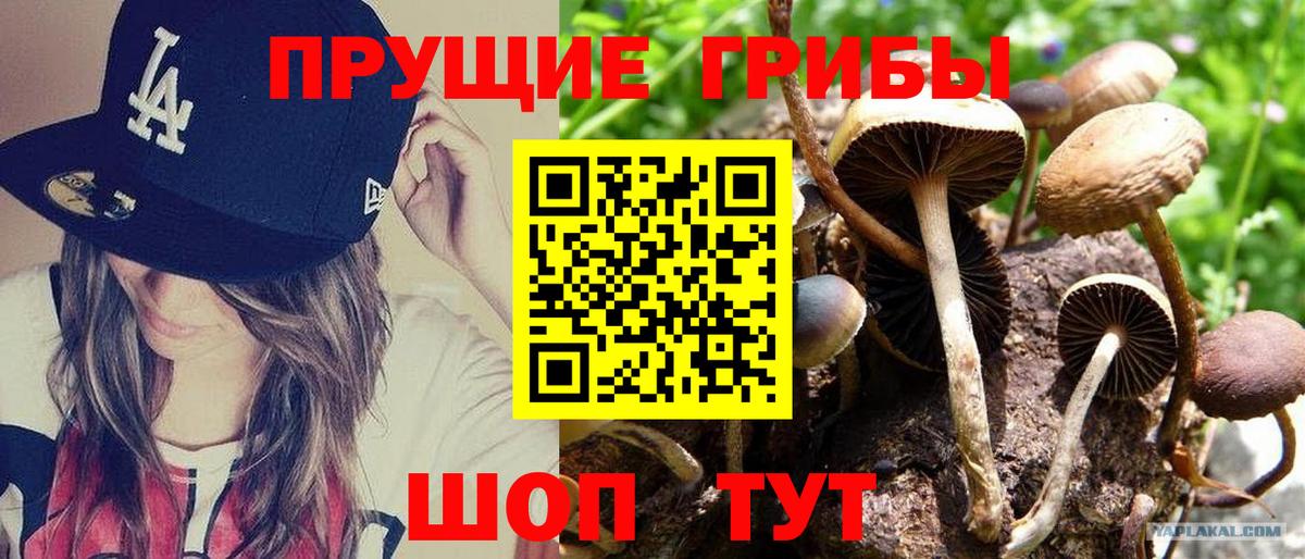 Гусь-Хрустальный  Галлюциногенные грибы Cubensis  Псилоцибиновые грибы прущие грибы  Вход с VPN 